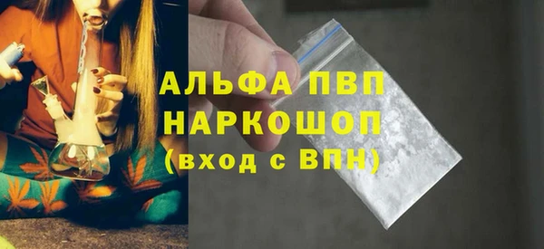 гашик Аркадак